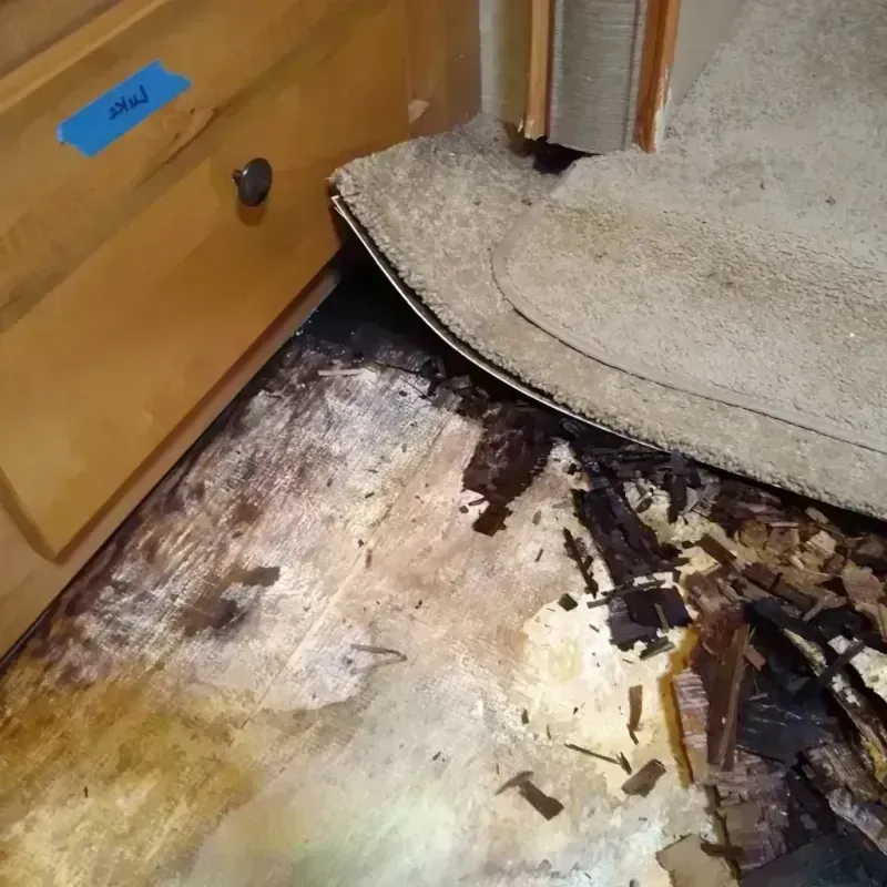 Wood Floor Water Damage in Jersey Shore, PA